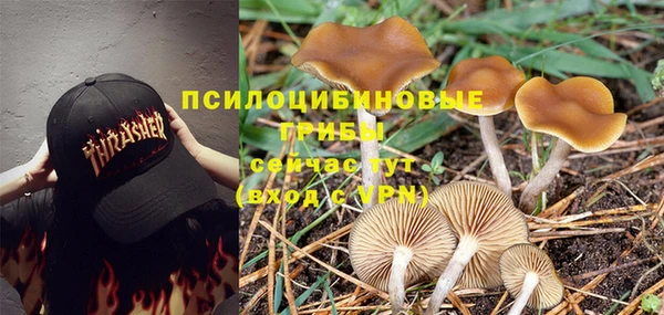 винт Краснотурьинск
