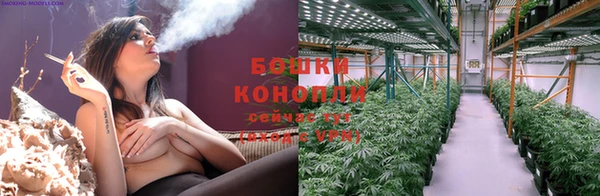 крисы Строитель